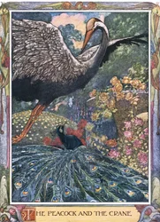 The Peacock and the Crane
