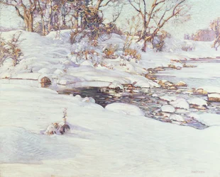 Winter Sunlight