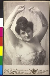 Portrait of a Lady