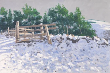 Small Wood, Torwoodlee, 2017