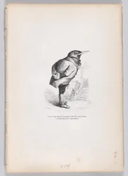 Old, Broken, Haggard, Whimsical, Yet Good, Yet Dedicated, and Domestic by Temperament, ca. 1837-47