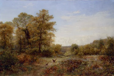 The Pheasant
