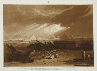 The Fifth Plague of Egypt