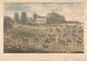 The Hampshire Hunt