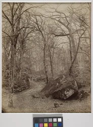 Fontainebleau