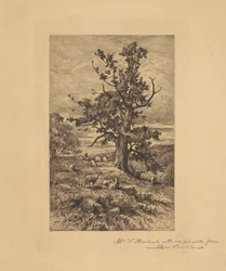 Landscape with Sheep