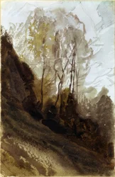 Trees