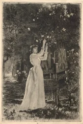 A Young Woman Picking Blossoms from a Tree