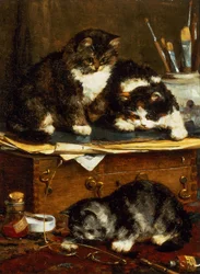 The Artists Studio