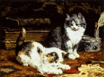 Two Kittens Playing on a Desk