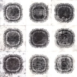Plant Cells, 2019
