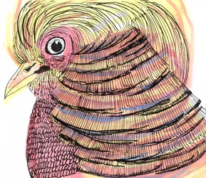 Tropical Bird, 2018
