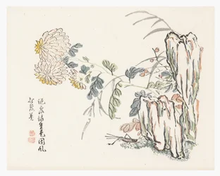 Chrysanthemum, Mustard Seed Garden Manual
