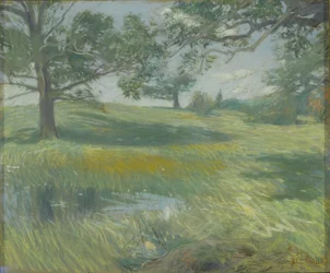 Meadows (c.1900-10)