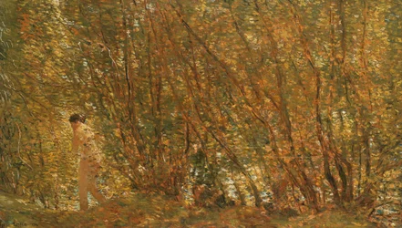 Under the Alders