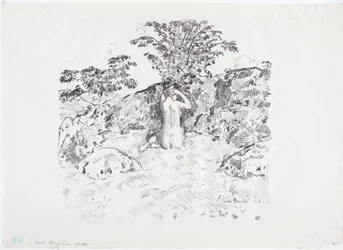 Wild Cherry Tree