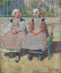 In the Sunlight