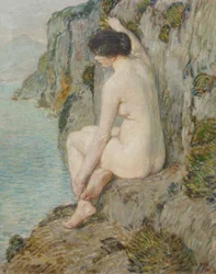 The Lorelei