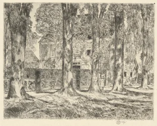 Village Elms, 1923