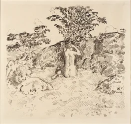 Wild Cherry Tree