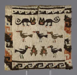 Feathered Tunic