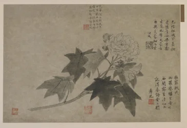 A Branch of Wood Peony, Possibly Qing Dynasty