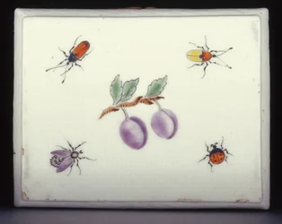 Base of an Armorial Snuffbox