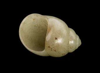 Figure in the form of a conch shell