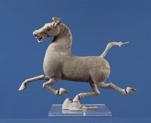 Galloping Horse with One Hoof Resting on a Swallow