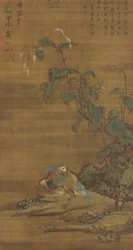 Mandarin Ducks under Smartweed