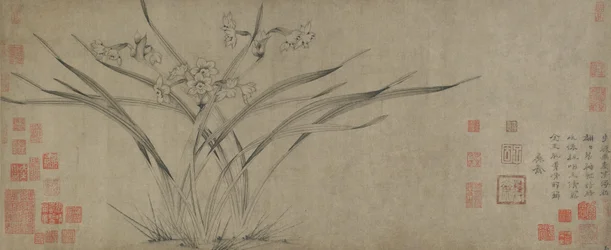Narcissus, Song Dynasty
