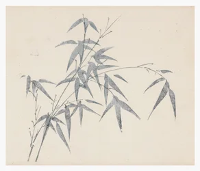 Ten Bamboo Series, 18th century