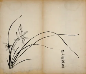 Ten Bamboo Studio Prints
