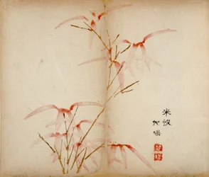 Ten Bamboo Studio Prints