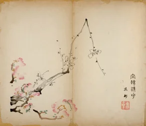 Ten Bamboo Studio Prints