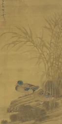 Two Ducks among Reeds at the Water