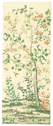 Unknown Image
