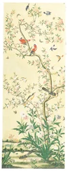 Unknown Image