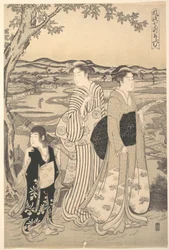 Parrot Komachi