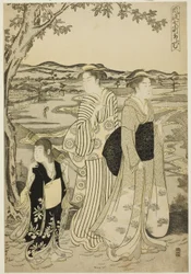 Parrot Komachi, from the series The Fashionable Seven Komachi