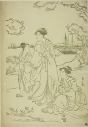Viewing Cherry Blossoms at Goten Hill