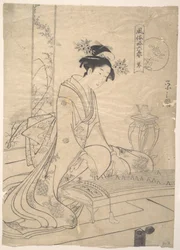 Young Lady Playing a Musical Instrument
