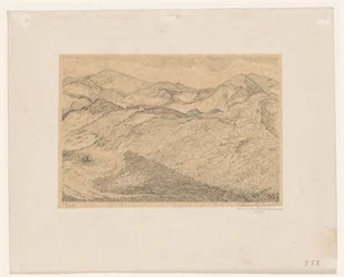 Dune Landscape