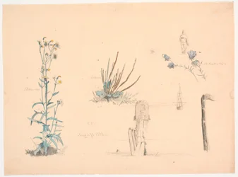 Plant Studies. A Bathhouse Bridge and a Ship