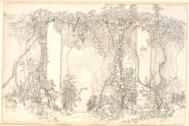 Study of a Pergola in Capri