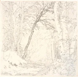 Road through a Forest