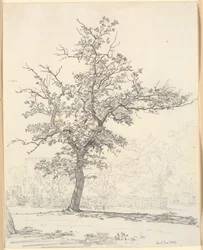 Part of a Garden