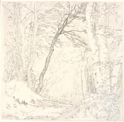 Road through a Forest