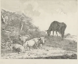 Landscape with Cattle