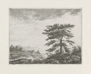 Tree in a Heath Landscape
